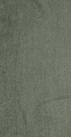 Gris Clair Solid Color Soft Scarf 63015